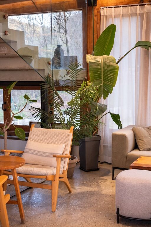 Simple Tips for Creating a Cozy and Inviting Home Atmosphere